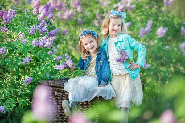 Duas meninas sorridentes bonitos irmãs adoráveis juntos em um arbusto de campo lilás todos vestindo vestidos elegantes e casacos de jeans . — Fotografia de Stock