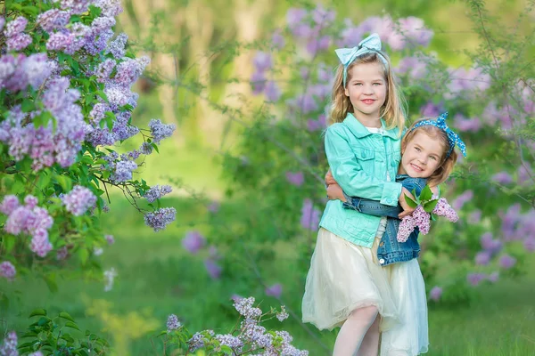 Két aranyos mosolygós lány nővérek szép együtt a lila mező bush minden elegáns ruhák és farmer kabátot viselt. — Stock Fotó