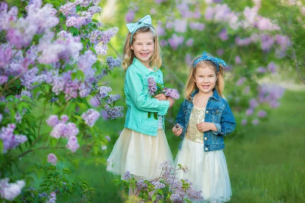 Duas meninas sorridentes bonitos irmãs adoráveis juntos em um arbusto de campo lilás todos vestindo vestidos elegantes e casacos de jeans . — Fotografia de Stock