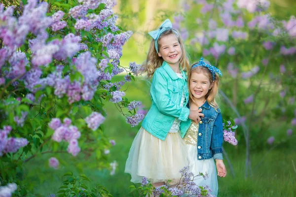 Duas meninas sorridentes bonitos irmãs adoráveis juntos em um arbusto de campo lilás todos vestindo vestidos elegantes e casacos de jeans . — Fotografia de Stock