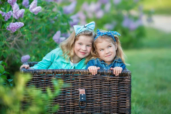 Duas meninas sorridentes bonitos irmãs adoráveis juntos em um arbusto de campo lilás todos vestindo vestidos elegantes e casacos de jeans . — Fotografia de Stock