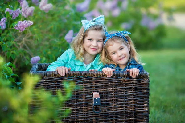 Duas meninas sorridentes bonitos irmãs adoráveis juntos em um arbusto de campo lilás todos vestindo vestidos elegantes e casacos de jeans . — Fotografia de Stock