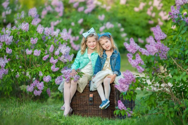 Duas meninas sorridentes bonitos irmãs adoráveis juntos em um arbusto de campo lilás todos vestindo vestidos elegantes e casacos de jeans . — Fotografia de Stock