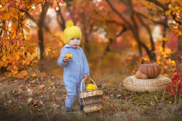 Mały chłopiec cute dziecko w zima żółty kapelusz siedzi na dyni w lesie jesienią, sam — Zdjęcie stockowe