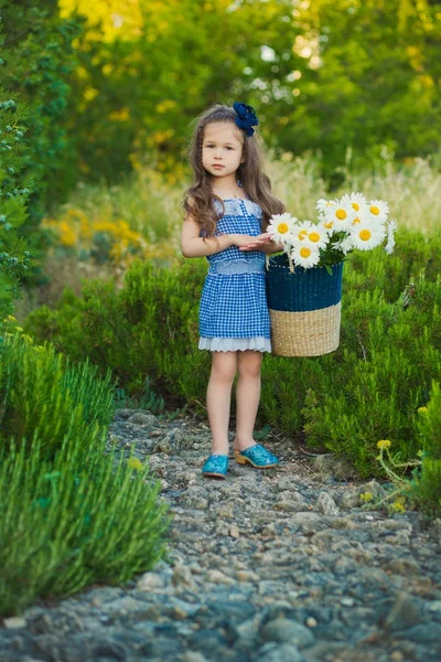 Menina bonito nova em jeans vestido de pé perto de flores amarelas com cesta cheia de camomila . — Fotografia de Stock