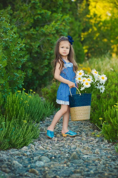 Jeune fille mignonne en jeans robe debout près de fleurs jaunes avec panier plein de camomille . — Photo