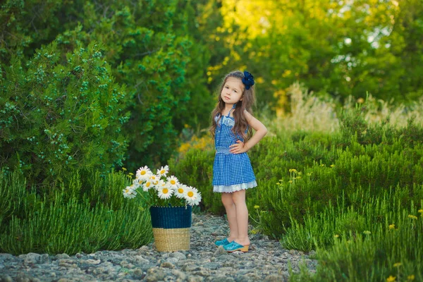 Giovane ragazza carina in abito jeans in piedi vicino a fiori gialli con cesto pieno di camomilla . — Foto Stock