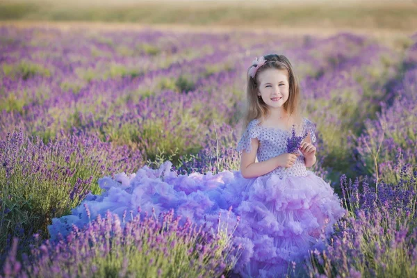 En flicka i en vacker lummig lila klänning i lavendelfält. Söt flicka i frodig lila klänning. Söt flicka i ett lavendelfält — Stockfoto