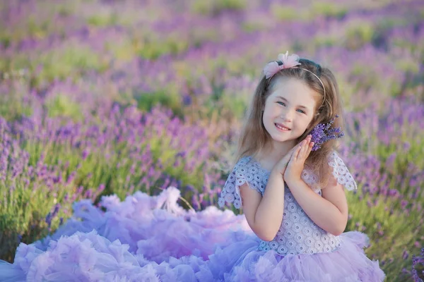 Uma menina em um belo vestido roxo exuberante no campo de lavanda. Menina doce no vestido lilás exuberante. Menina doce em um campo de lavanda — Fotografia de Stock