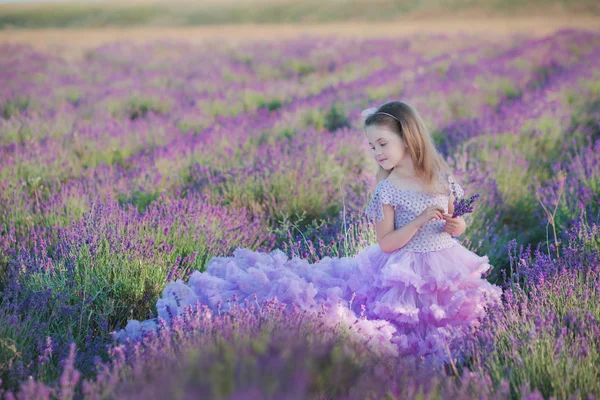 Дівчина в красивій пишній фіолетовій сукні в лавандовому полі. Солодка дівчина в пишній бузковій сукні. Солодка дівчина в лавандовому полі — стокове фото