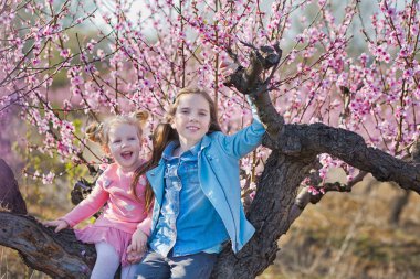 Sevimli güzel şık giyimli esmer ve sarışın kızlar kız pembe çiçekli bahar genç şeftali ağacına sahasında ayakta. Bayan kot pantolon giymiş bahar sezonunda pembe elbiseli kız kardeşi ile.