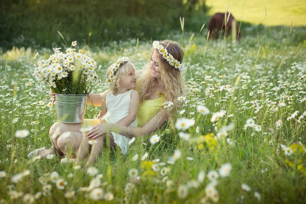 Красива дама з милою дочкою на ромашковому полі — стокове фото