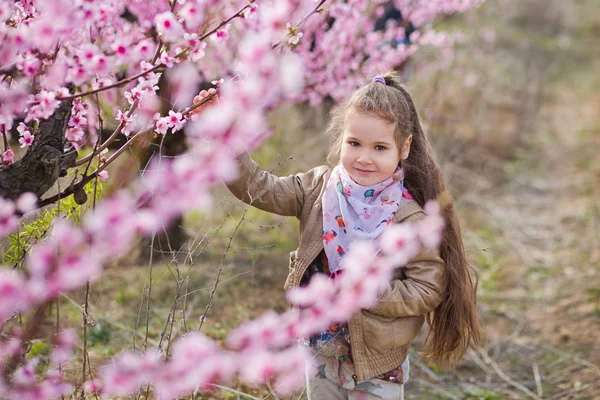 Aranyos szép stílusos öltözött szőke lány állt a tavaszi fiatal őszibarackfa mező pink flowers.smiling lány öltözött rózsaszín tavaszi szezon. — Stock Fotó