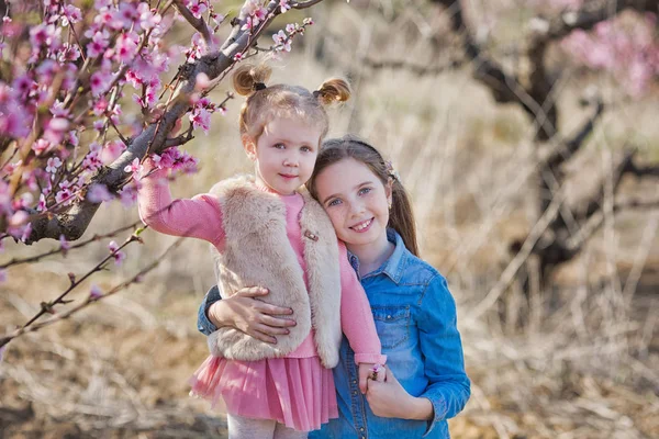 Bonito bonita elegante vestido morena e loiras meninas irmãs de pé em um campo de primavera jovem pêssego árvore com flores rosadas.Senhora vestida de jeans na temporada de primavera com sua irmã em vestido rosa . — Fotografia de Stock