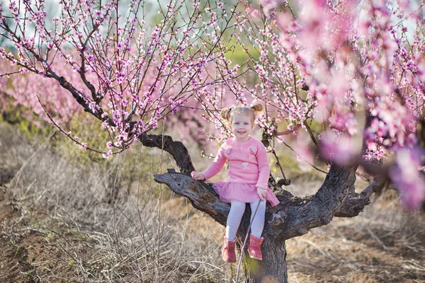 Bonito bonita elegante vestido morena e loiras meninas irmãs de pé em um campo de primavera jovem pêssego árvore com flores rosadas.Senhora vestida de jeans na temporada de primavera com sua irmã em vestido rosa . — Fotografia de Stock