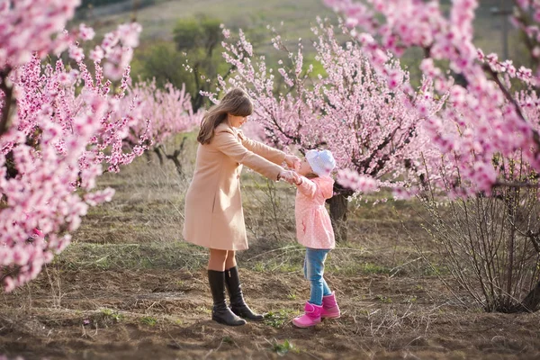 Aranyos szép stílusos öltözött barna lány, anya-anya állva egy mezőt a tavaszi fiatal őszibarackfa rózsaszín virágok. Lady öltözött eső ruhák és a kék sapka gumicsizmát tavaszi szezon. — Stock Fotó