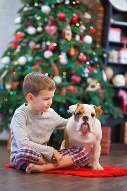 En iyi arkadaşlar yakışıklı sarışın çocuk ve köpek yavrusu kırmızı beyaz İngilizce bulldog kırmızı halı mindere Noel ağacı yakın birbirleri ile zaman geçirmekten zevk. Köpek giyen geyik cornuted