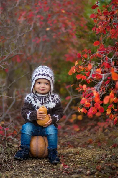 Jongetje in herfst park genieten van tijd — Stockfoto