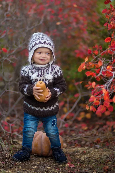 Jongetje in herfst park genieten van tijd — Stockfoto