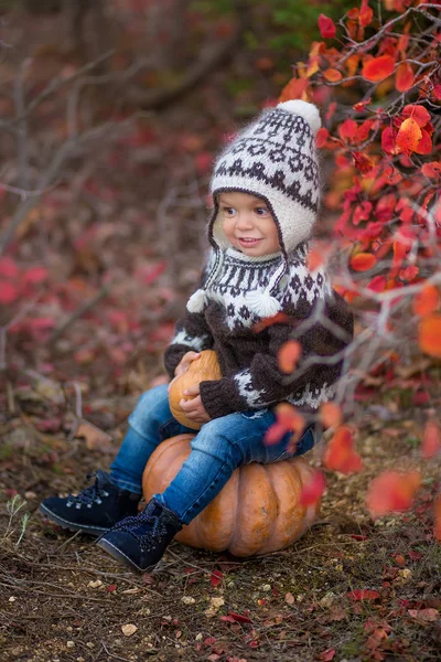 sonbahar Park vaktinizi küçük çocuk