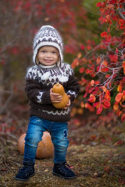 Jongetje in herfst park genieten van tijd — Stockfoto