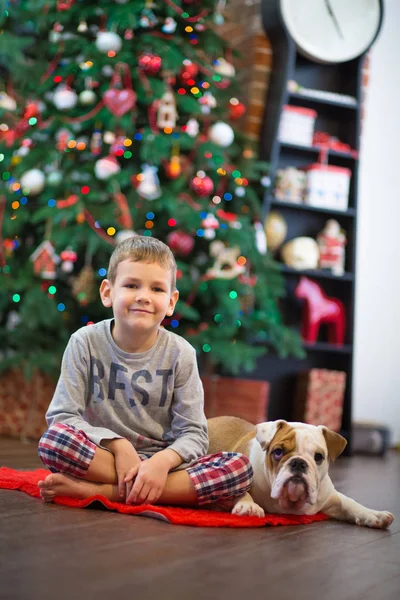 Melhores amigos menino loiro bonito e cachorro vermelho branco Inglês bulldog gostando de passar o tempo uns com os outros perto da árvore de Natal no tapete vermelho. Cão usando veado cornuted — Fotografia de Stock