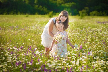 Anne ve kızı bir piknik papatya alanındaki tarih. At bir arka plan üzerinde papatya alanında iki güzel sarışın. Anne ve kızı papatya alanında kucaklayan