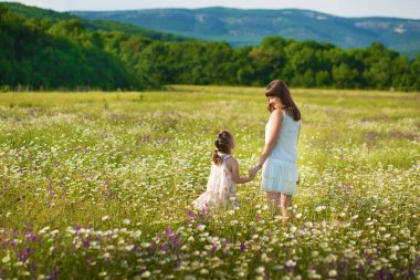 Anne ve kızı bir piknik papatya alanındaki tarih. At bir arka plan üzerinde papatya alanında iki güzel sarışın. Anne ve kızı papatya alanında kucaklayan