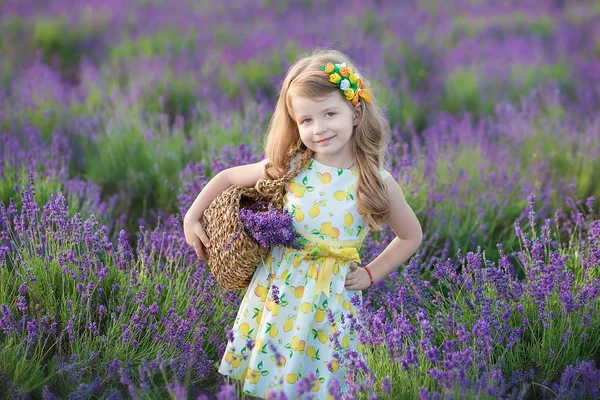Young mother with young daughter smiling on the field of lavender .Daughter sitting on mother hands.Girl in colorful dress and mother in dark blue dress. — Stock Photo, Image