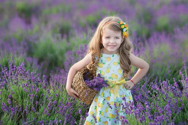 Young mother with young daughter smiling on the field of lavender .Daughter sitting on mother hands.Girl in colorful dress and mother in dark blue dress. — Stock Photo, Image