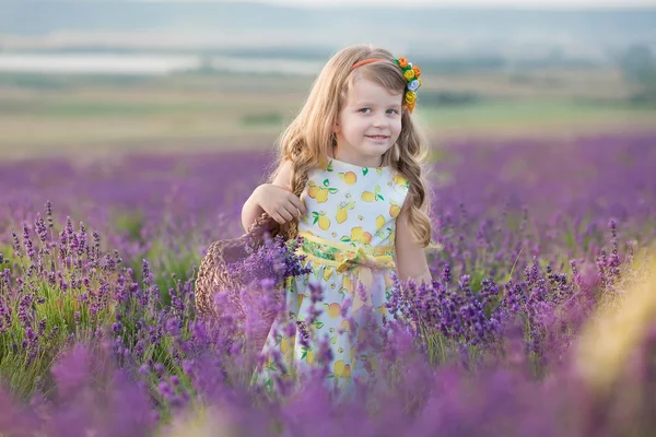 Mãe jovem com filha jovem sorrindo no campo de lavanda .Daughter sentado na mãe hands.Girl em vestido colorido e mãe em vestido azul escuro . — Fotografia de Stock