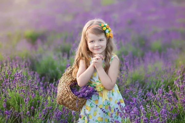 Giovane madre con giovane figlia sorridente sul campo di lavanda .Figlia seduta sulle mani della madre.Ragazza in abito colorato e madre in abito blu scuro . — Foto Stock