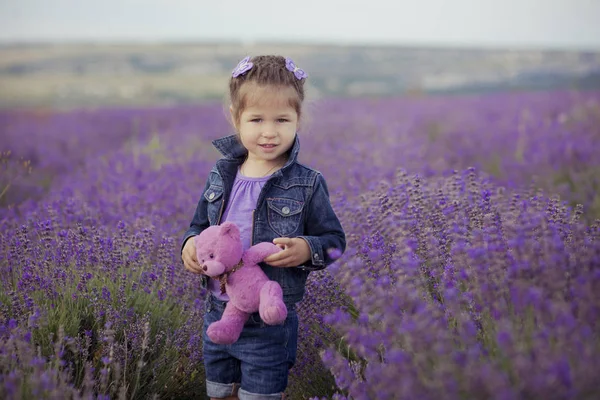 Menina bonita sentada no campo de lavanda em barco chapéu agradável com flor roxa sobre ele . — Fotografia de Stock