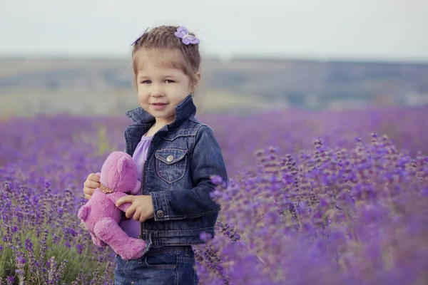 그것에 보라색 꽃과 좋은 모자 배타에 라벤더 밭에 앉아 아주 어린 소녀. — 스톡 사진