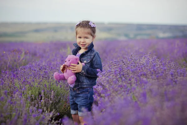 Досить молода дівчина сидить у лавандовому полі в гарній капелюшній кабіні з фіолетовою квіткою на ньому . — стокове фото