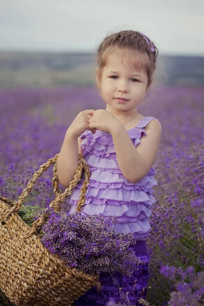 Bella ragazza seduta nel campo di lavanda in bel cappello da barca con fiore viola su di esso . — Foto Stock