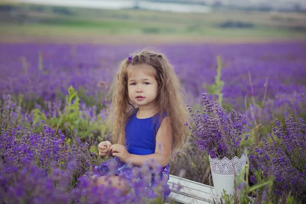 Menina bonita sentada no campo de lavanda em barco chapéu agradável com flor roxa sobre ele . — Fotografia de Stock