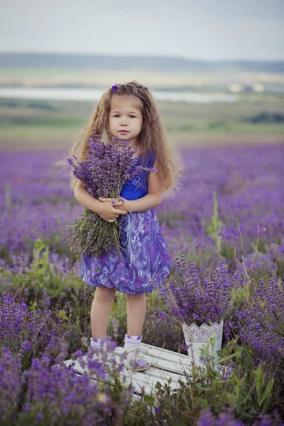 Menina bonita sentada no campo de lavanda em barco chapéu agradável com flor roxa sobre ele . — Fotografia de Stock