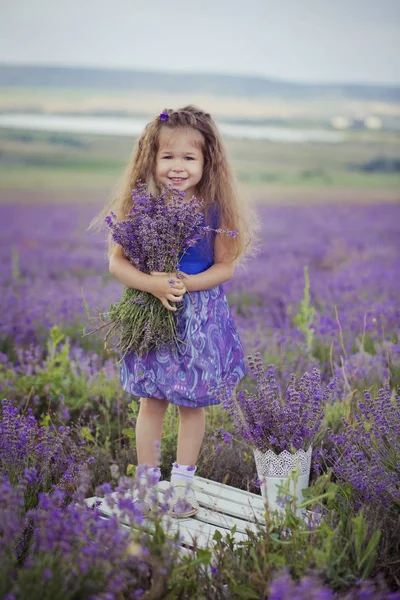 Bella ragazza seduta nel campo di lavanda in bel cappello da barca con fiore viola su di esso . — Foto Stock