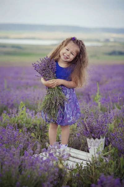그것에 보라색 꽃과 좋은 모자 배타에 라벤더 밭에 앉아 아주 어린 소녀. — 스톡 사진