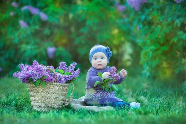 Mosolygós baba lány 1-2 éves viselése Virág Koszorú, gazdaság lila csokor szabadban. Nézi a kamera. Tavaszi-nyári idő. — Stock Fotó