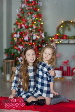 İki sevimli müthiş kız kız kardeş xmas ağacı ile şeker dolu oyuncak şık elbiseler yakın yeni yıl Noel Kutlamaları