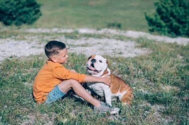 Boğa köpek dağlarda alanıyla üzerinde çalışan çocuk