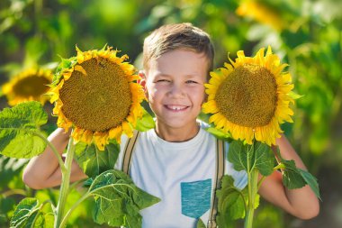 Bir sepet ayçiçeği gülümseyen bir çocuk. Ayçiçeği ile boy gülümseyerek. Ayçiçeği tarlası içinde hoş gülümseyen çocuk.