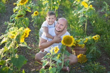 Baba ile oğlu ayçiçeği tarlasında sarılma. Oğlu babasının ayçiçeği tarlası kucaklamak.