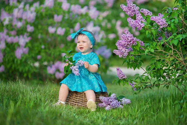 Aranyos szőke kislány élvezi időt, egy fantasztikus helyen között bush lila fecskendő. Fiatal hölgy kosár virágokkal teli öltözött farmert és elegáns ing pihentető egy felhő, illat. — Stock Fotó