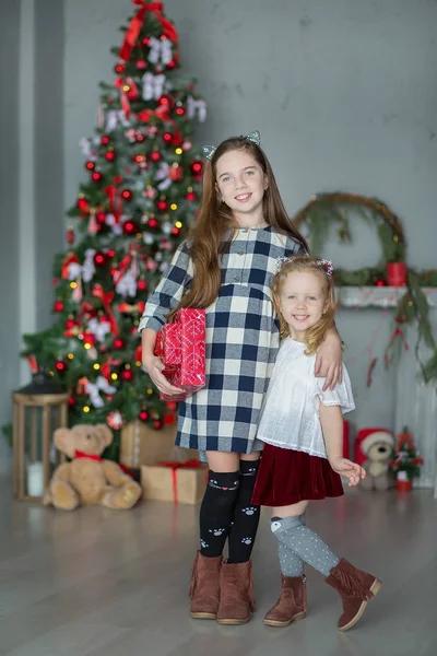 お菓子とスタイリッシュなドレスでおもちゃがいっぱいクリスマス ツリーの近くに新しい年のクリスマスを祝う 2 つのかわいい素晴らしい女の子姉妹 — ストック写真