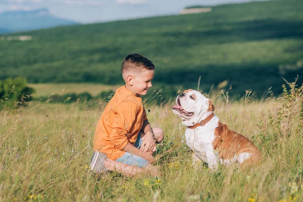 Boğa köpek dağlarda alanıyla üzerinde çalışan çocuk — Stok fotoğraf