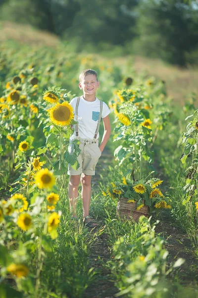 Ein lächelnder Junge mit einem Korb Sonnenblumen. Lächelnder Junge mit Sonnenblume. ein süßer lächelnder Junge in einem Sonnenblumenfeld. — Stockfoto