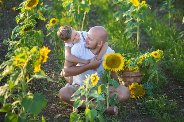 Baba ile oğlu ayçiçeği tarlasında sarılma. Oğlu babasının ayçiçeği tarlası kucaklamak.